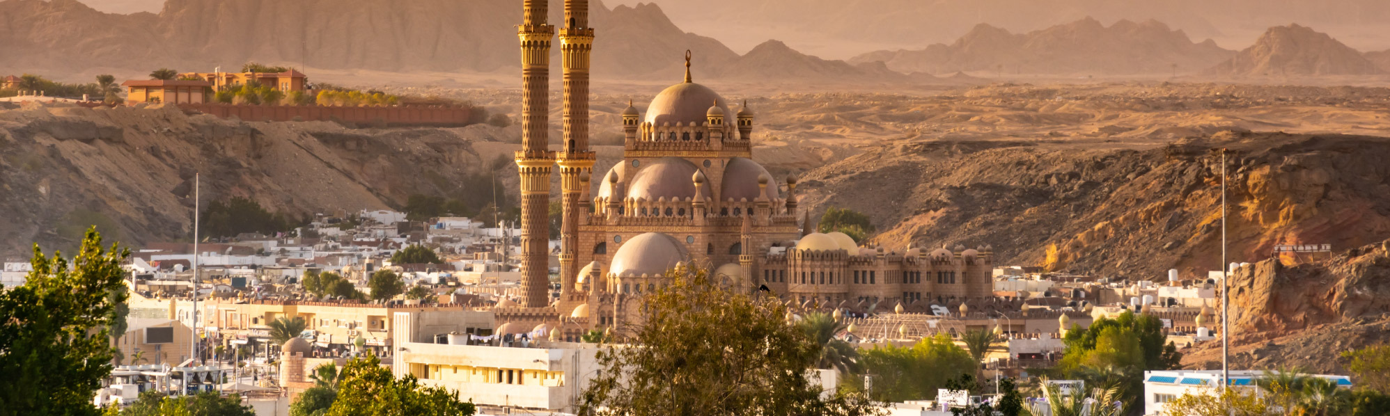 Rec   Egypt Prepares For Cop27 Climate Change Conference