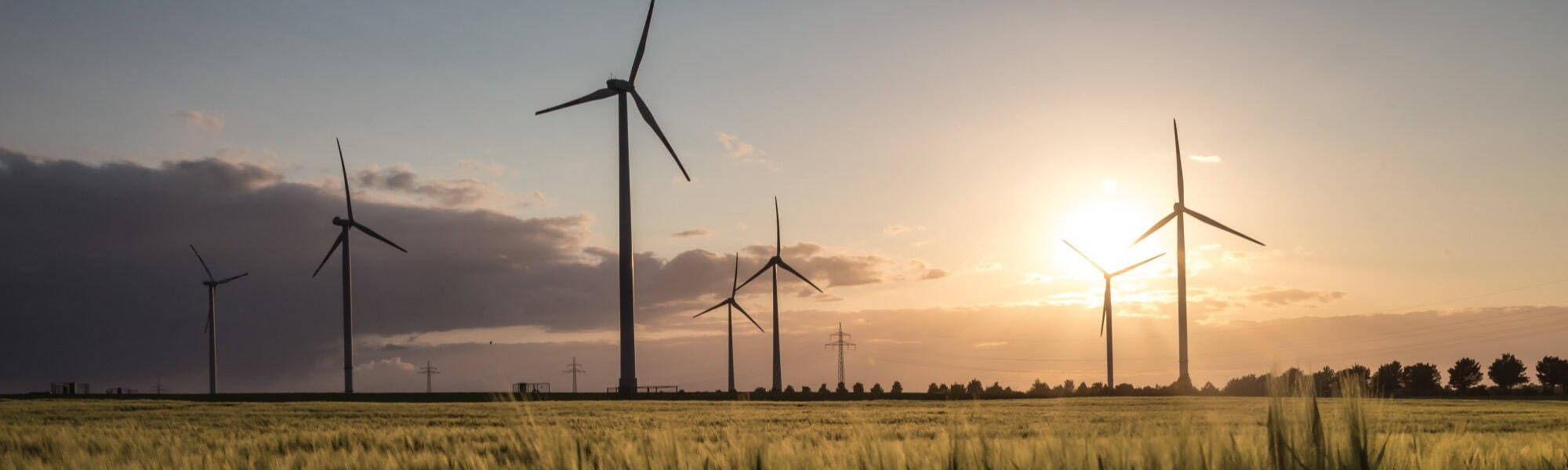 Photo of wind turbines