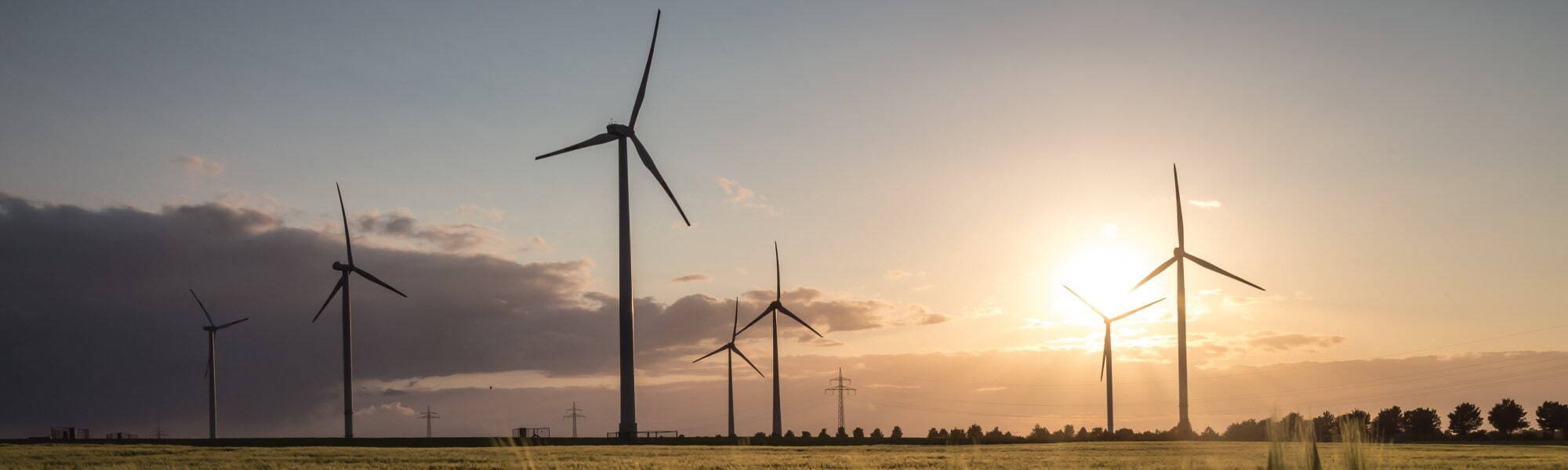 NRL Recruitment - image - wind turbines on a field