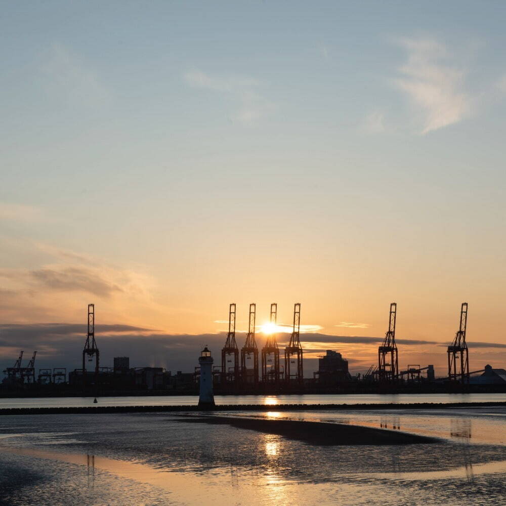 Image 2025 09 18 T12 06 52